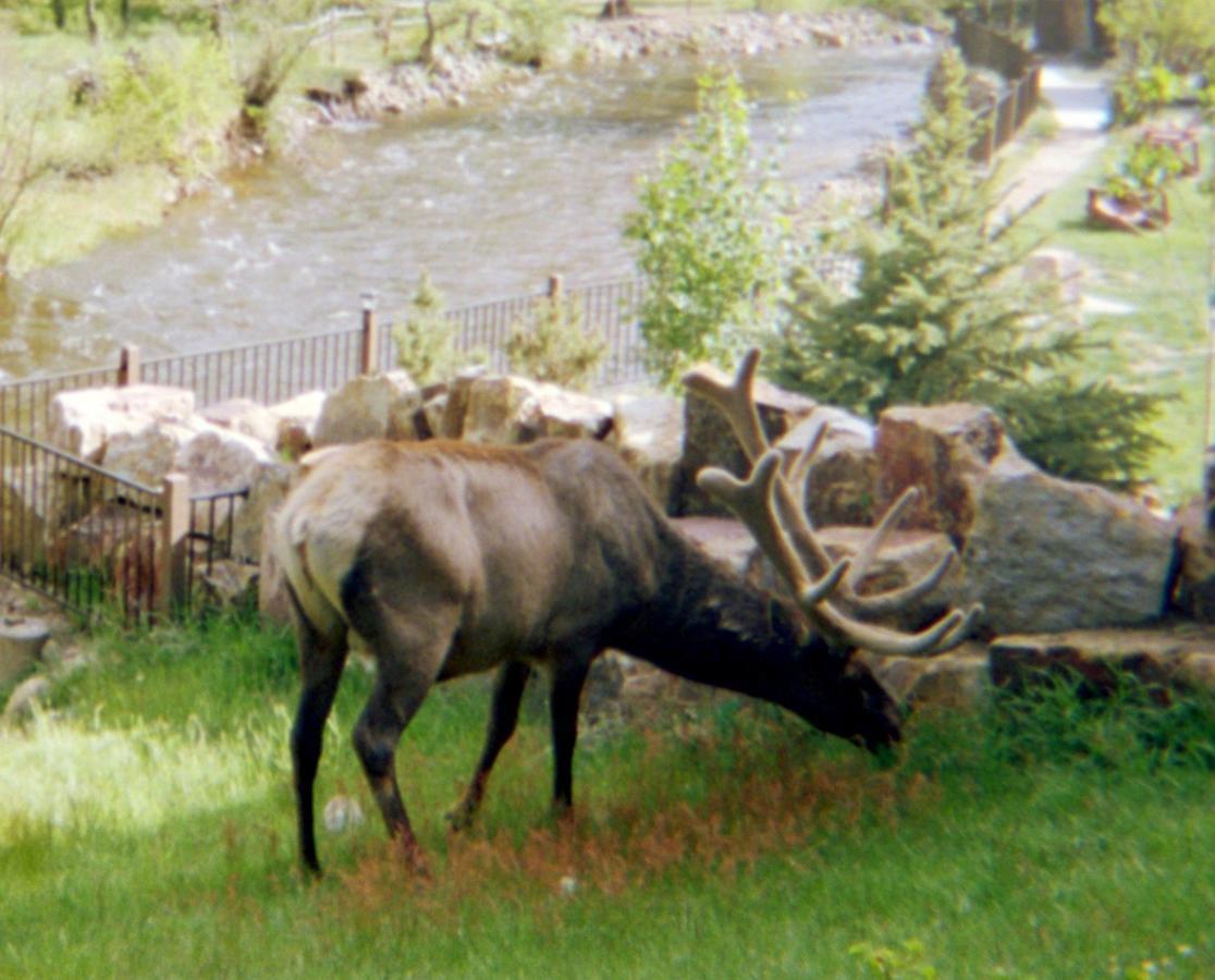 Skyline Cottages Estes Park Dış mekan fotoğraf